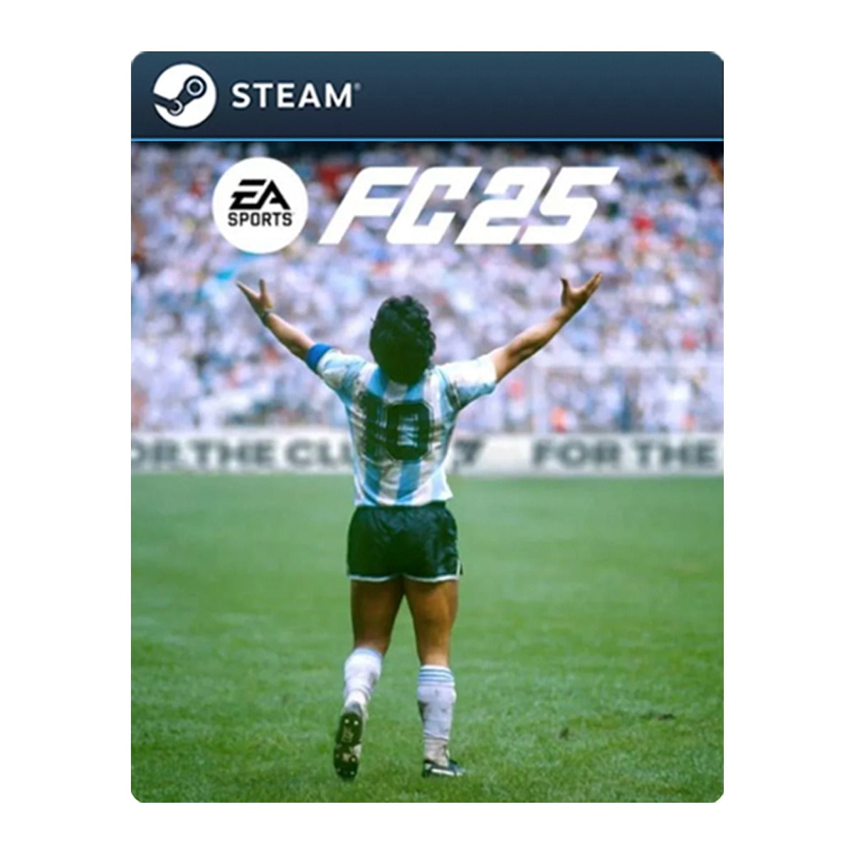 🎮 EA SPORTS FC 25 | PC (Steam | Standard Edition) | Steam
