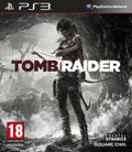 Tomb Raider Survivor
